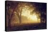 Golden Light of California-Albert Bierstadt-Stretched Canvas