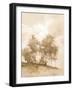 Golden Light of Day-Julia Purinton-Framed Art Print