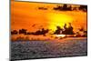 Golden light of the setting sun reflects a red glow on the beach at Pererenan Beach, Bali.-Greg Johnston-Mounted Photographic Print