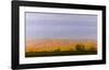 Golden Light on Blue Mountains-Todd Telander-Framed Art Print