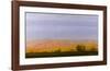 Golden Light on Blue Mountains-Todd Telander-Framed Art Print