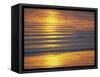 Golden Light on Ripples on the Sea Shore-David Tipling-Framed Stretched Canvas