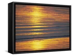 Golden Light on Ripples on the Sea Shore-David Tipling-Framed Stretched Canvas