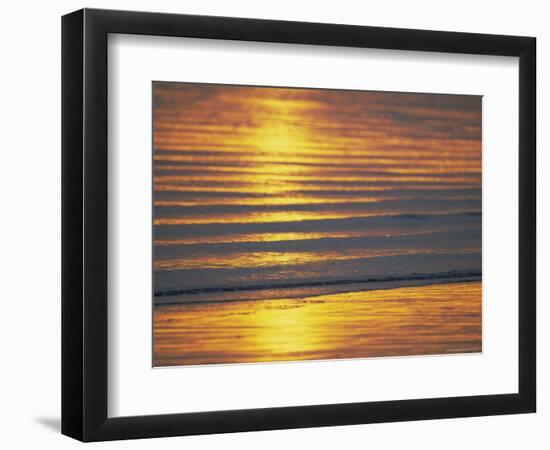 Golden Light on Ripples on the Sea Shore-David Tipling-Framed Photographic Print