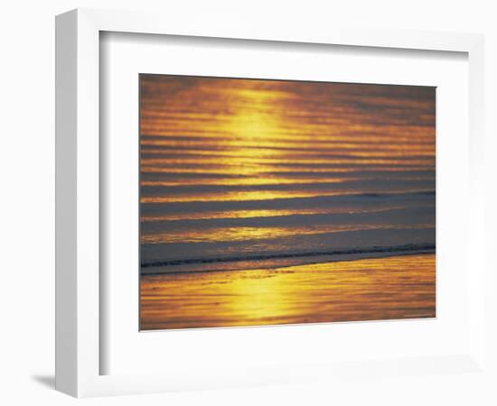 Golden Light on Ripples on the Sea Shore-David Tipling-Framed Photographic Print