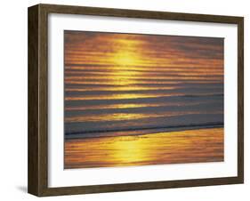 Golden Light on Ripples on the Sea Shore-David Tipling-Framed Photographic Print