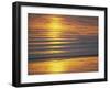 Golden Light on Ripples on the Sea Shore-David Tipling-Framed Photographic Print