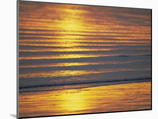 Golden Light on Ripples on the Sea Shore-David Tipling-Mounted Photographic Print