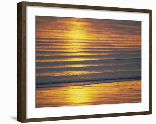 Golden Light on Ripples on the Sea Shore-David Tipling-Framed Photographic Print