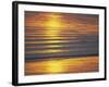 Golden Light on Ripples on the Sea Shore-David Tipling-Framed Photographic Print