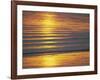 Golden Light on Ripples on the Sea Shore-David Tipling-Framed Photographic Print