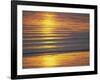 Golden Light on Ripples on the Sea Shore-David Tipling-Framed Photographic Print