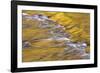 Golden light reflects off the Presque Isle River, Wisconsin.-Brenda Tharp-Framed Photographic Print