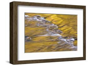 Golden light reflects off the Presque Isle River, Wisconsin.-Brenda Tharp-Framed Photographic Print