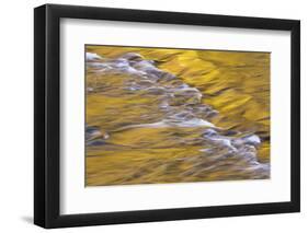 Golden light reflects off the Presque Isle River, Wisconsin.-Brenda Tharp-Framed Photographic Print