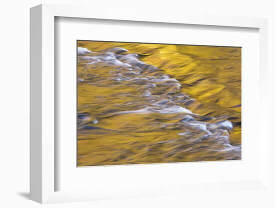 Golden light reflects off the Presque Isle River, Wisconsin.-Brenda Tharp-Framed Photographic Print