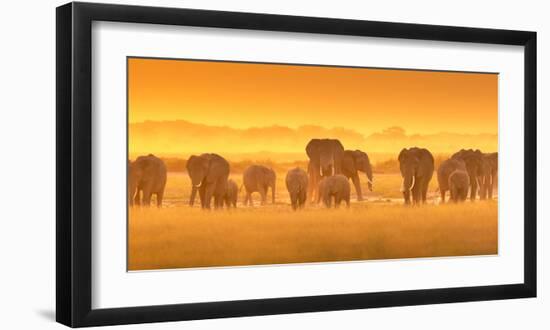 Golden Light-David Hua-Framed Art Print