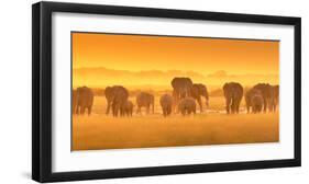 Golden Light-David Hua-Framed Art Print