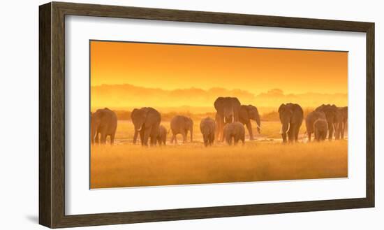 Golden Light-David Hua-Framed Art Print