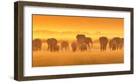 Golden Light-David Hua-Framed Art Print