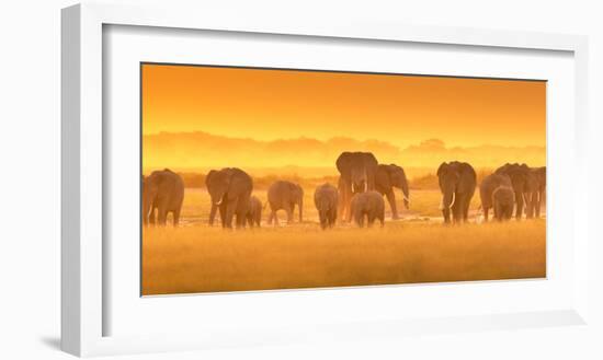 Golden Light-David Hua-Framed Art Print