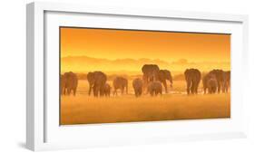 Golden Light-David Hua-Framed Art Print