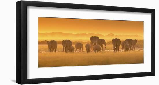 Golden Light-David Hua-Framed Giclee Print