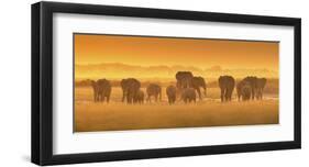 Golden Light-David Hua-Framed Giclee Print