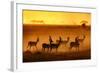 Golden Light-Mathilde Guillemot-Framed Photographic Print