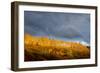 Golden Light-Dan Ballard-Framed Photographic Print