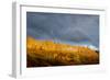 Golden Light-Dan Ballard-Framed Photographic Print