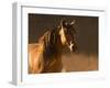 Golden Light-Sally Linden-Framed Photographic Print