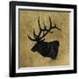 Golden Lodge V-James Wiens-Framed Art Print