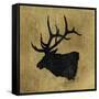 Golden Lodge V-James Wiens-Framed Stretched Canvas