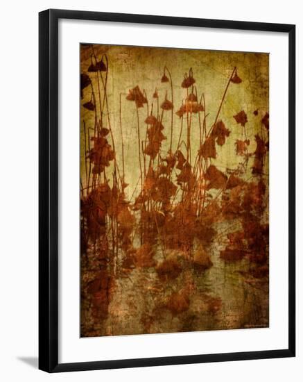 Golden Lotus-Lydia Marano-Framed Photographic Print