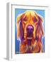 Golden - Macie-Dawgart-Framed Giclee Print