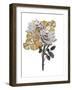 Golden Magnolia-Jesse Keith-Framed Art Print