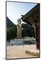 Golden Maitreya Statue, Beopjusa Temple Complex, South Korea, Asia-Michael-Mounted Photographic Print