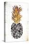 Golden Mandala Pineapple-OnRei-Stretched Canvas