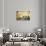 Golden Manhattan - In the Style of Oil Painting-Philippe Hugonnard-Giclee Print displayed on a wall