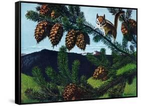 Golden Mantaled Ground Squirrel-Fred Ludekens-Framed Stretched Canvas