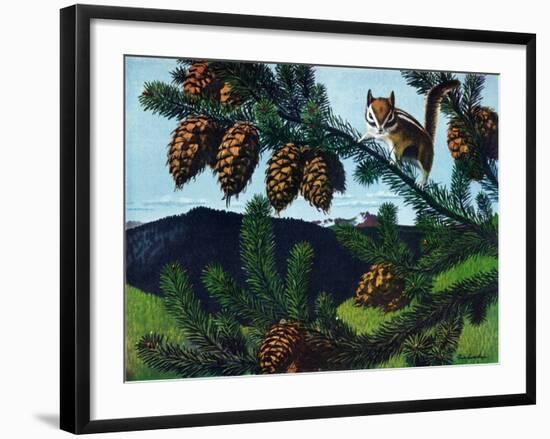 Golden Mantaled Ground Squirrel-Fred Ludekens-Framed Giclee Print