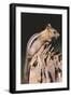 Golden-Mantled Ground Squirrel-DLILLC-Framed Premium Photographic Print