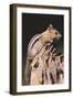 Golden-Mantled Ground Squirrel-DLILLC-Framed Photographic Print