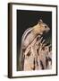 Golden-Mantled Ground Squirrel-DLILLC-Framed Photographic Print