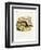 Golden-Mantled Ground Squirrel-null-Framed Premium Giclee Print