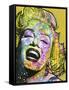 Golden Marilyn-Dean Russo-Framed Stretched Canvas