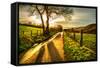 Golden Memories-Mark Gemmell-Framed Stretched Canvas