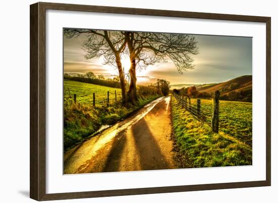 Golden Memories-Mark Gemmell-Framed Photographic Print