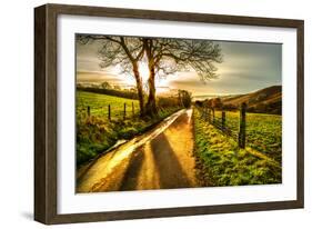 Golden Memories-Mark Gemmell-Framed Premium Photographic Print